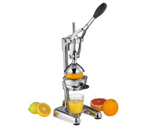 cilio Profi-Saftpresse