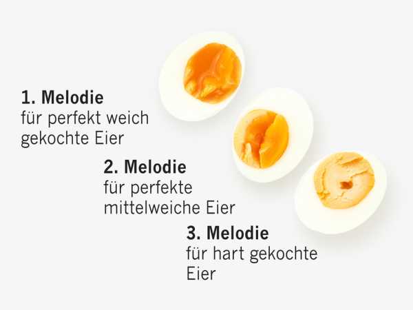 Brainstream Klassisches PiepEi