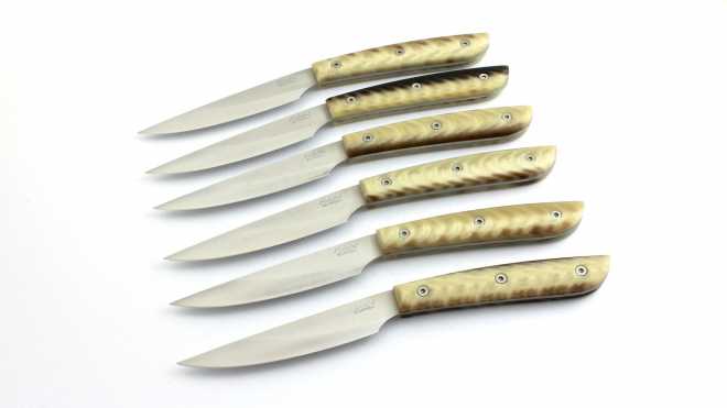 Steakmesser Resin 6er-Set