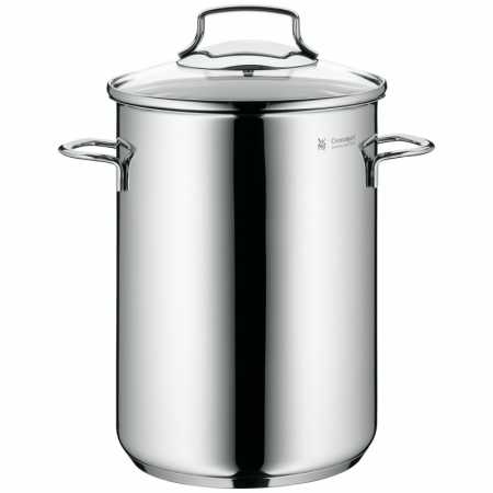 WMF Spargeltopf mit Drahteinsatz