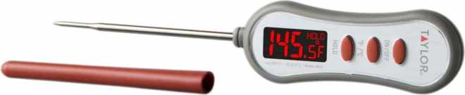 Digital Step System Thermometer